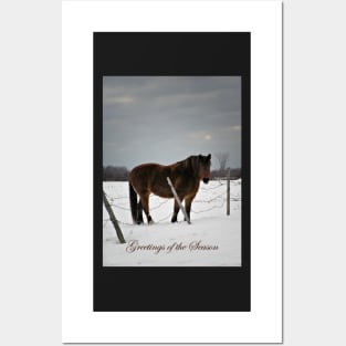 Horse in Winter. Posters and Art